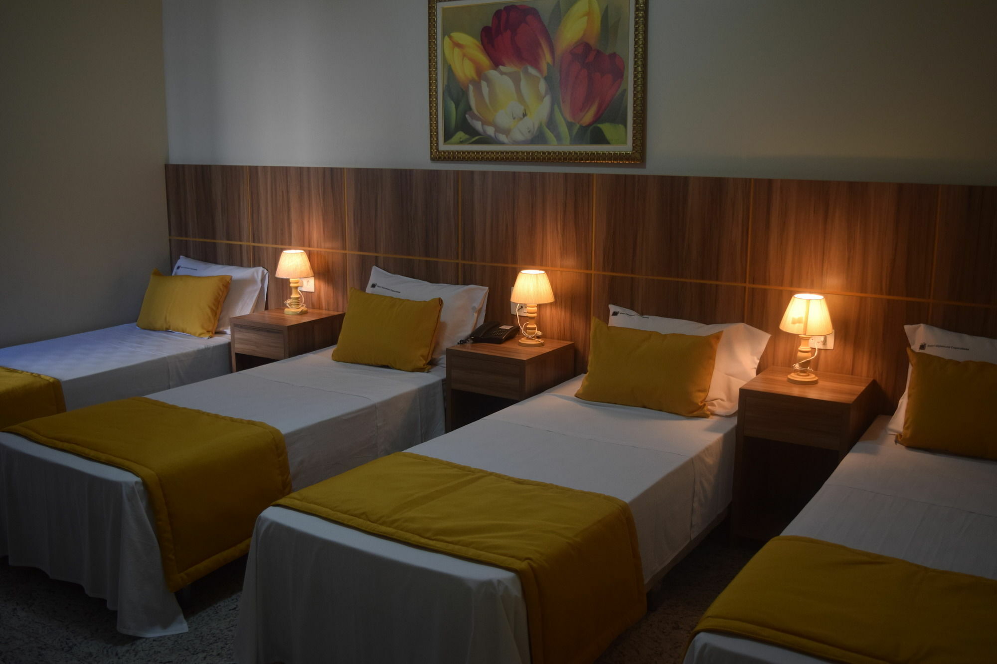 Hotel Diplomata Copacabana ريو دي جانيرو المظهر الخارجي الصورة